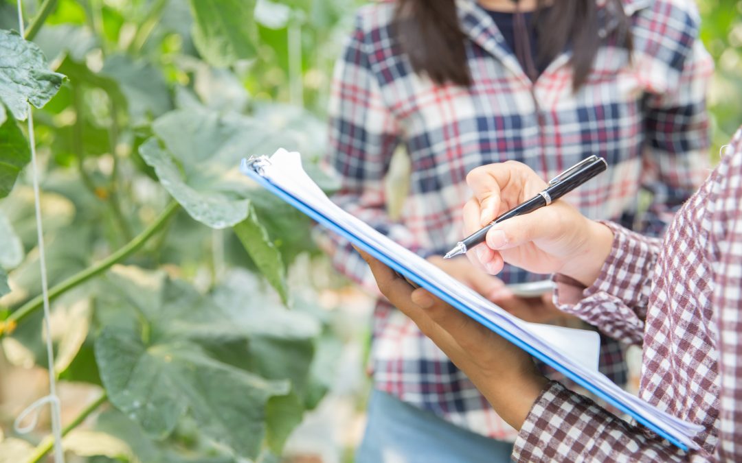 Succession Planning for Farms: Ensuring a Smooth Transition